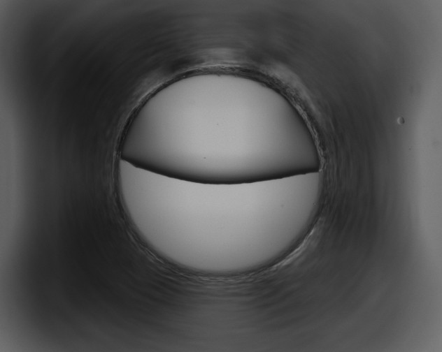X0000098091409200804040717