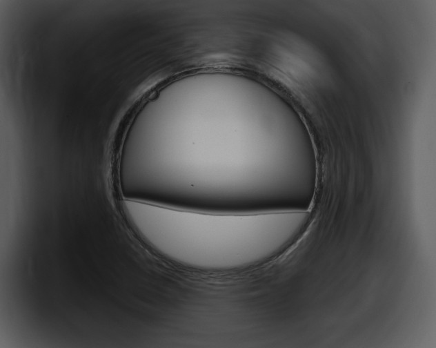 X0000098091410200804040717