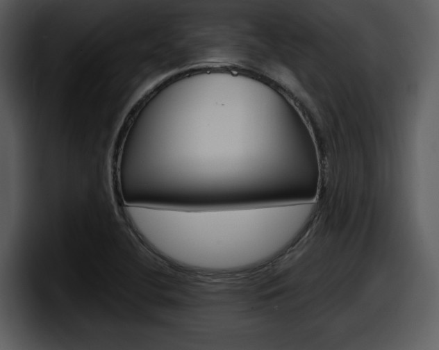 X0000098091412200804040717