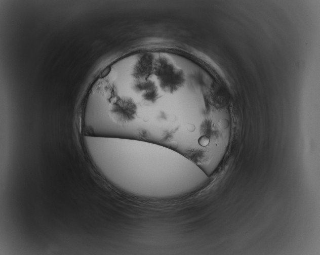 X0000098091413200804040717
