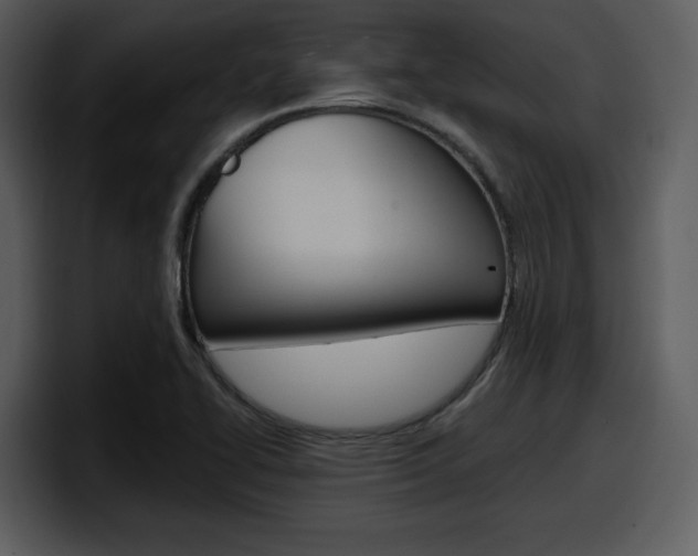 X0000098091414200804040717