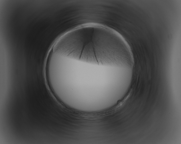 X0000098091418200804040717