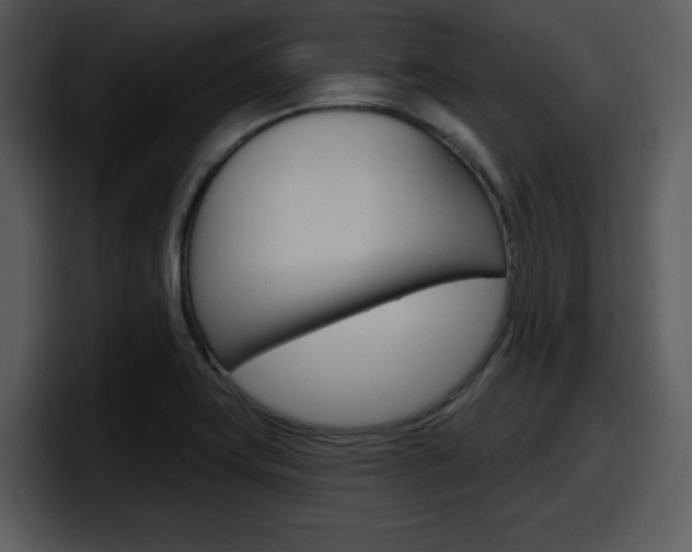 X0000098091419200804040717
