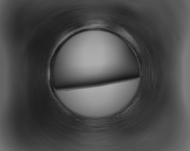 X0000098091420200804040717