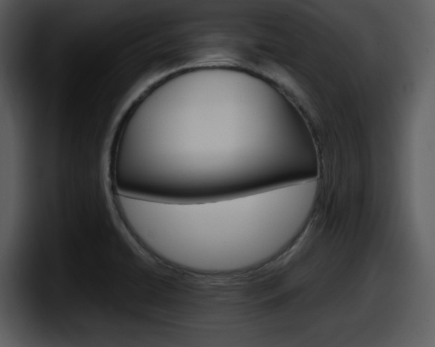 X0000098091422200804040717