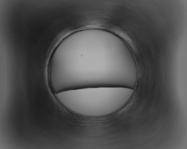 X0000098091423200804040717