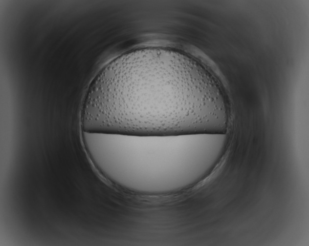 X0000098091425200804040717