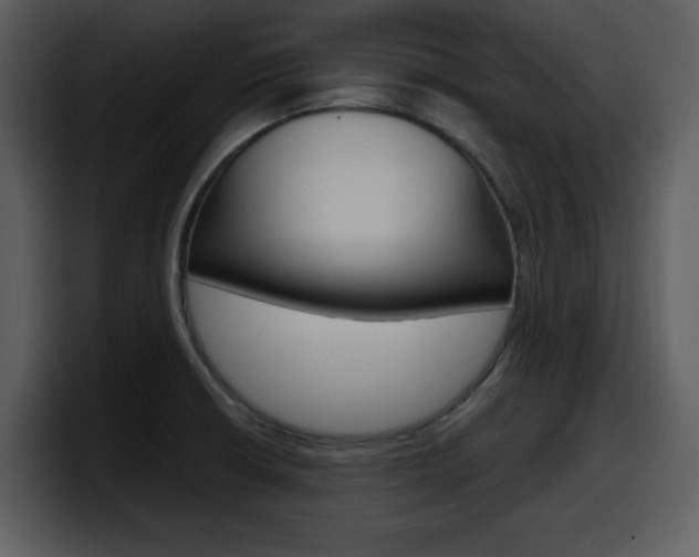 X0000098091426200804040717
