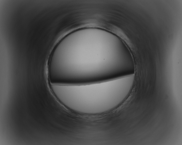 X0000098091428200804040717