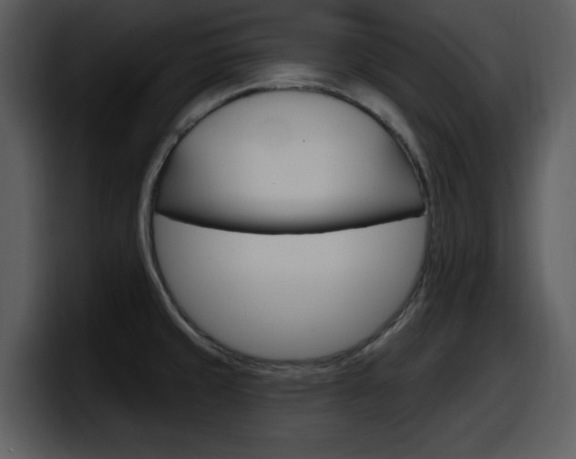 X0000098091429200804040717