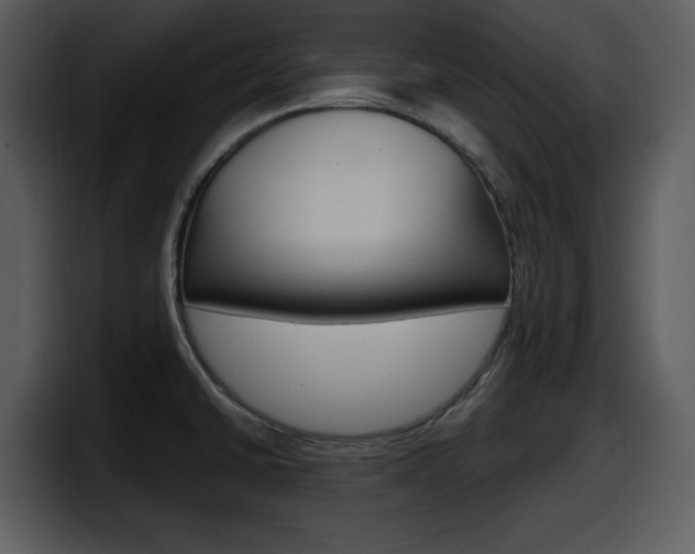 X0000098091430200804040717