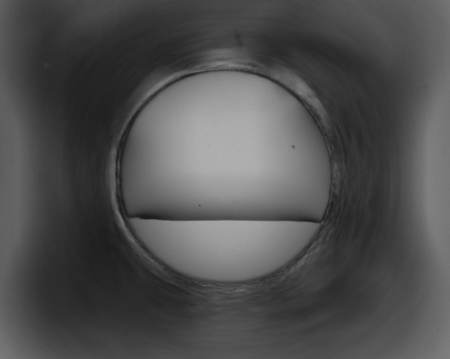 X0000098091431200804040717