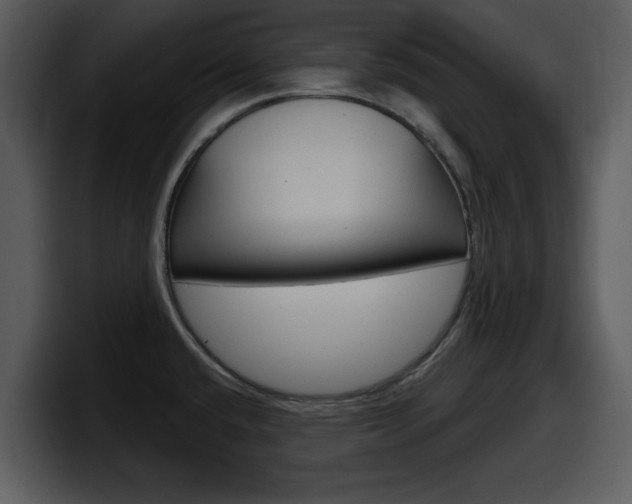 X0000098091432200804040717