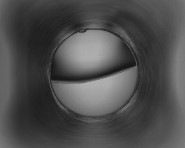 X0000098091433200804040717