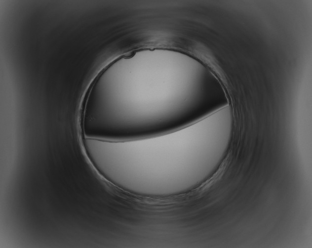 X0000098091434200804040717
