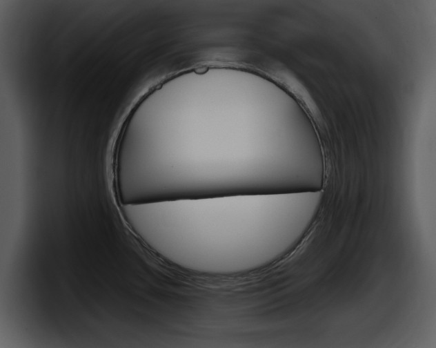 X0000098091435200804040717