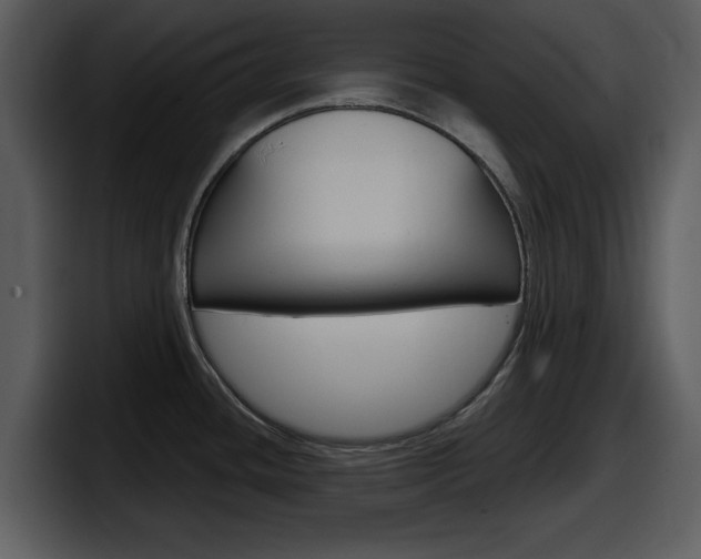 X0000098091436200804040717