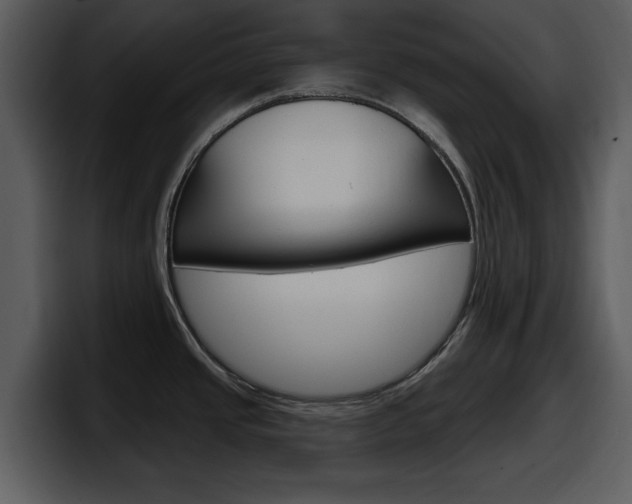 X0000098091437200804040717