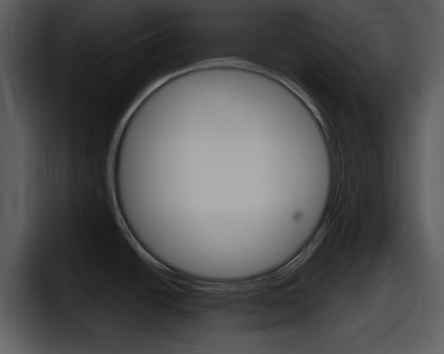 X0000098091438200804040717