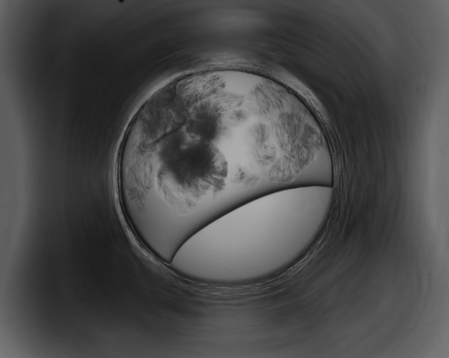 X0000098091439200804040718