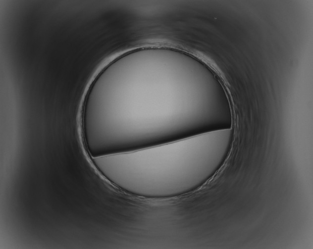 X0000098091440200804040718