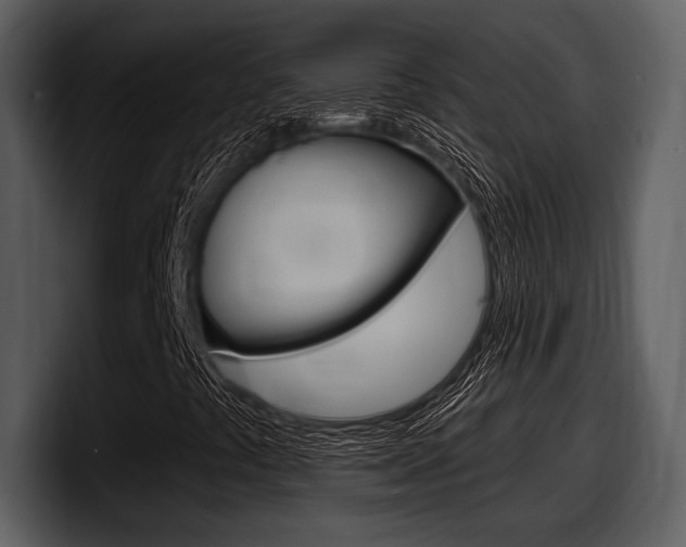X0000098091441200804040717
