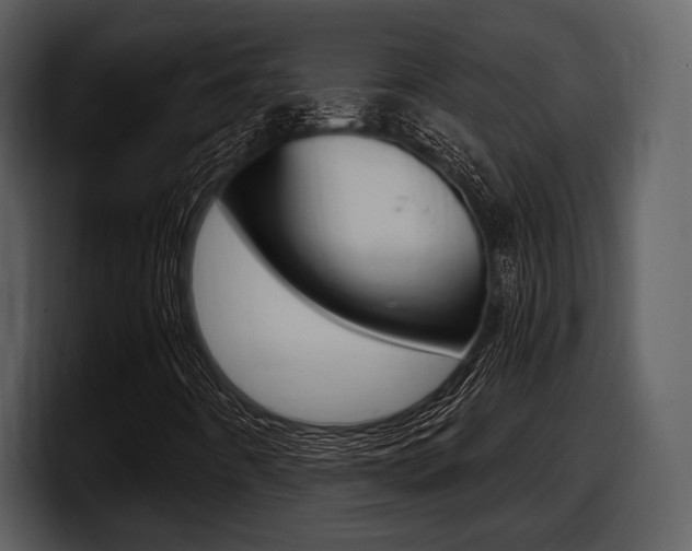 X0000098091442200804040717