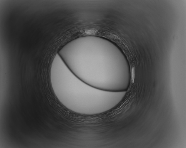 X0000098091443200804040717