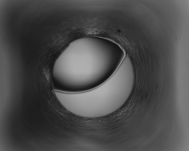 X0000098091444200804040717
