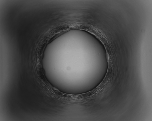 X0000098091445200804040717
