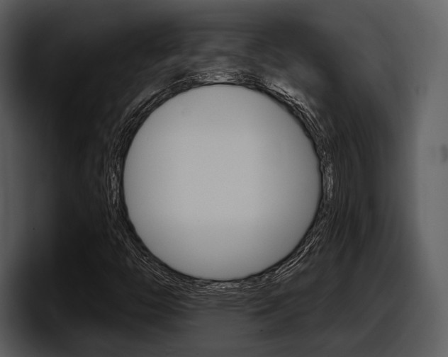 X0000098091446200804040717