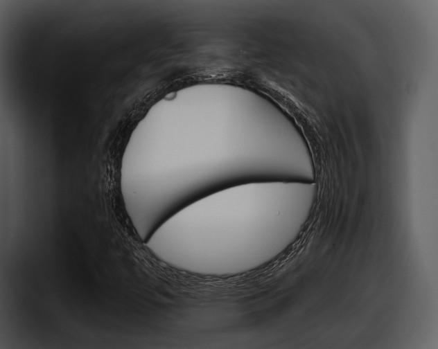 X0000098091447200804040717