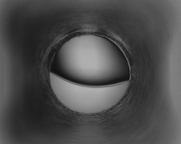 X0000098091448200804040717