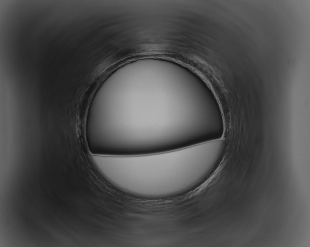 X0000098091449200804040717