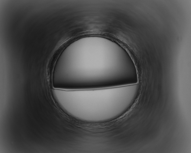 X0000098091450200804040717