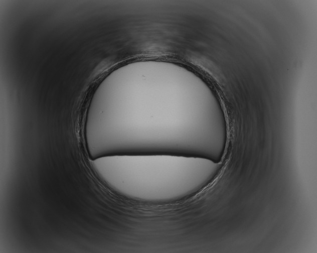 X0000098091451200804040717