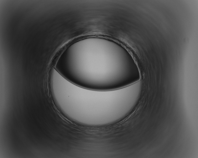 X0000098091452200804040717