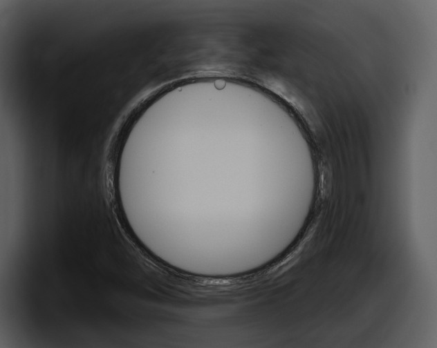 X0000098091454200804040717