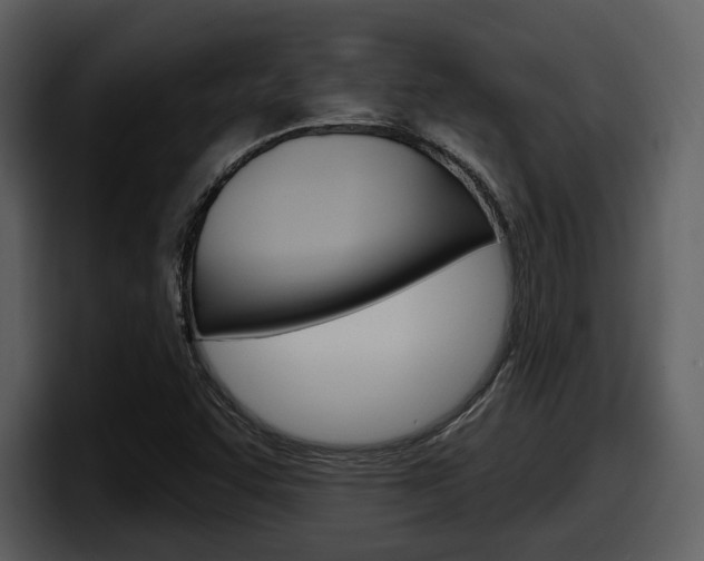 X0000098091455200804040717
