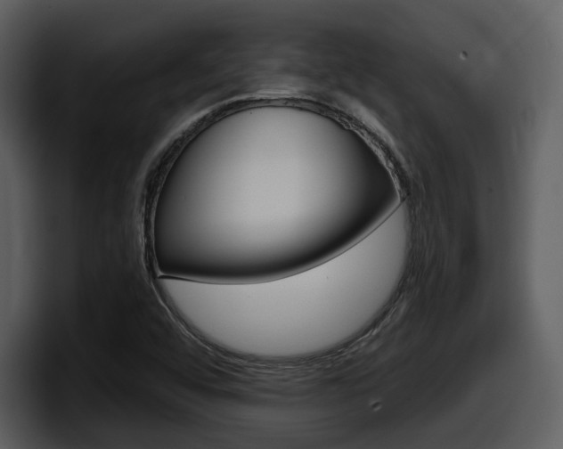X0000098091456200804040717