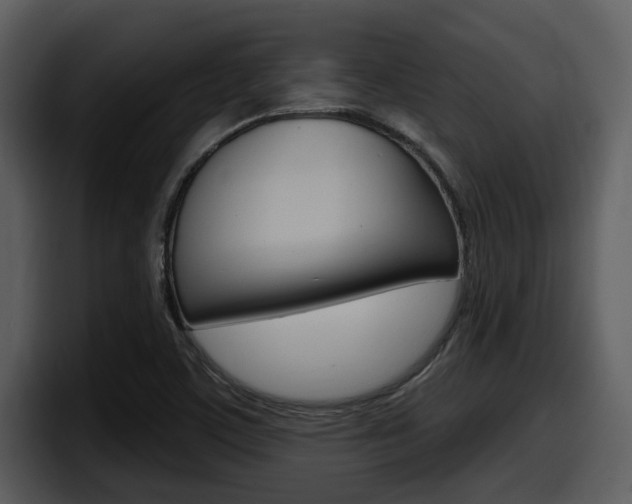 X0000098091459200804040717