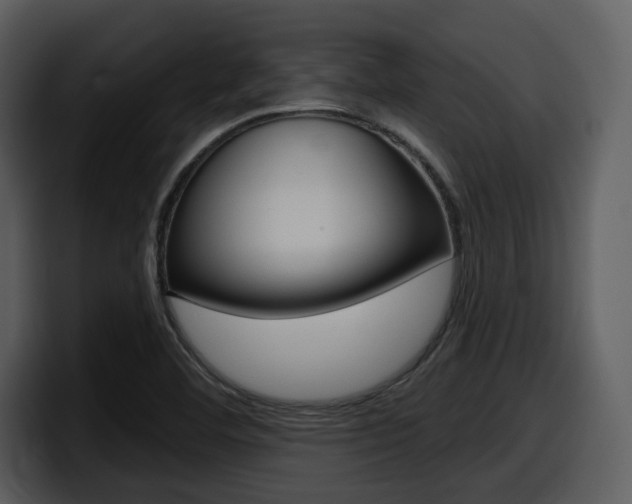 X0000098091460200804040717