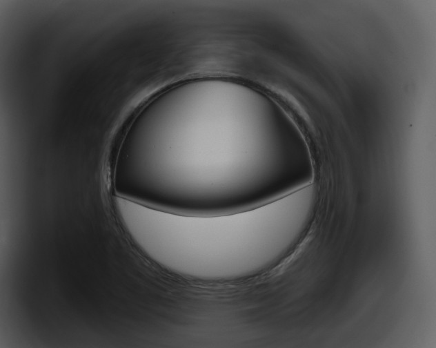 X0000098091461200804040717