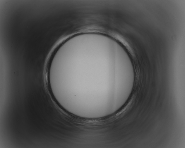 X0000098091462200804040717
