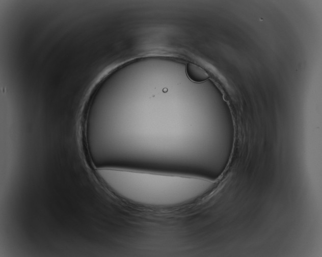 X0000098091463200804040717