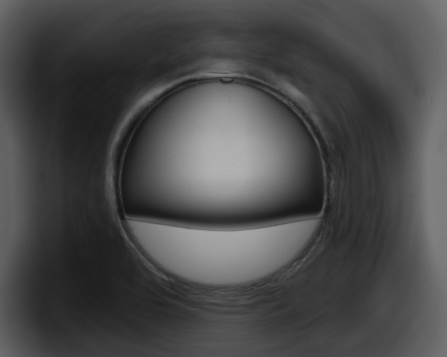 X0000098091464200804040717