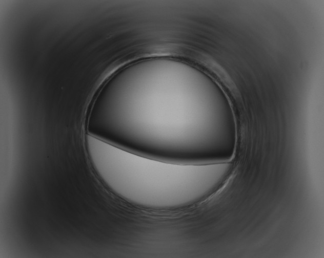 X0000098091465200804040717