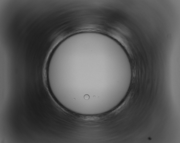 X0000098091466200804040717