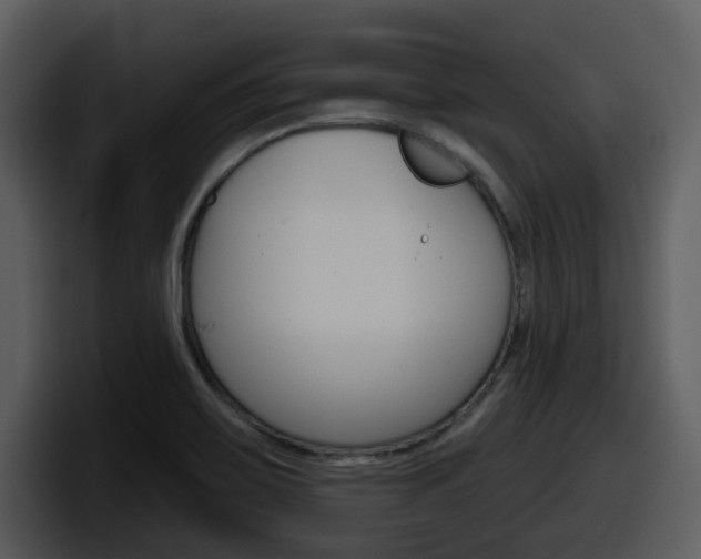 X0000098091467200804040717