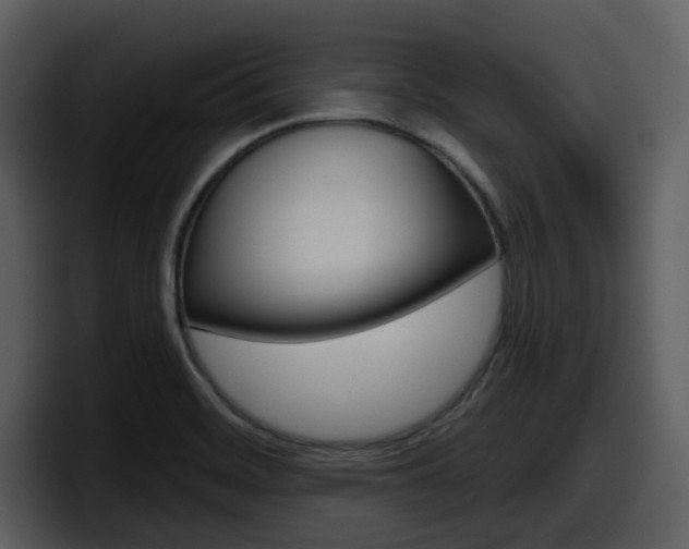 X0000098091468200804040717